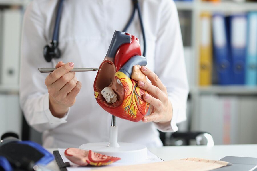 Septal Clousure