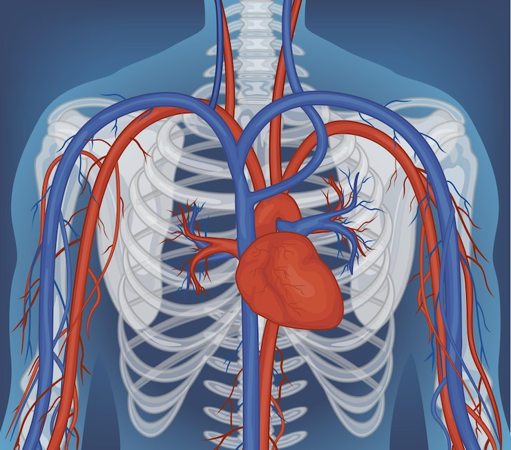 Best Coronary Angiography Centre in Vaishali