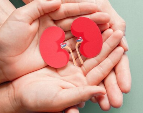 Best Kidney Disease Treatment in Indirapuram