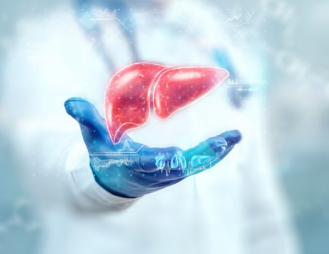 Best Liver Disease Treatment in Indirapuram